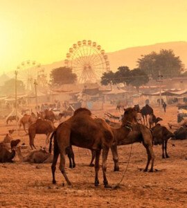 pushkar