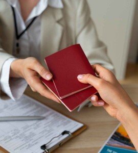 visa assistance